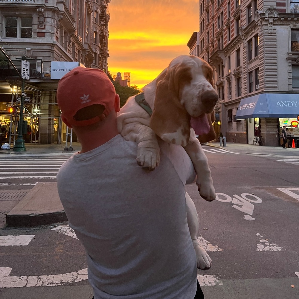 Meet your Posher, Adam